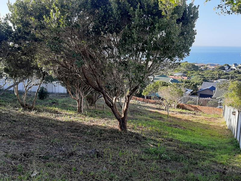 0 Bedroom Property for Sale in Tergniet Western Cape
